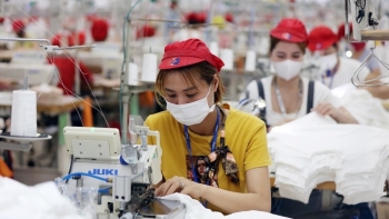 Tập trung phát triển thị trường lao động linh hoạt, hiệu quả, hiện đại