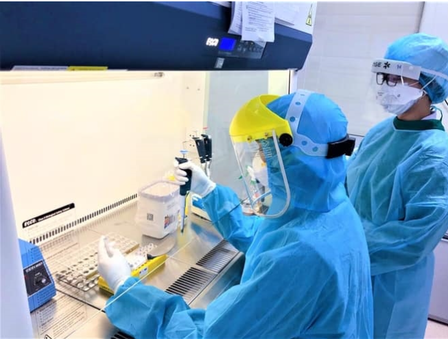 60% mẫu giải trình tự gen COVID-19 ở các tỉnh phía Bắc nhiễm BA.5