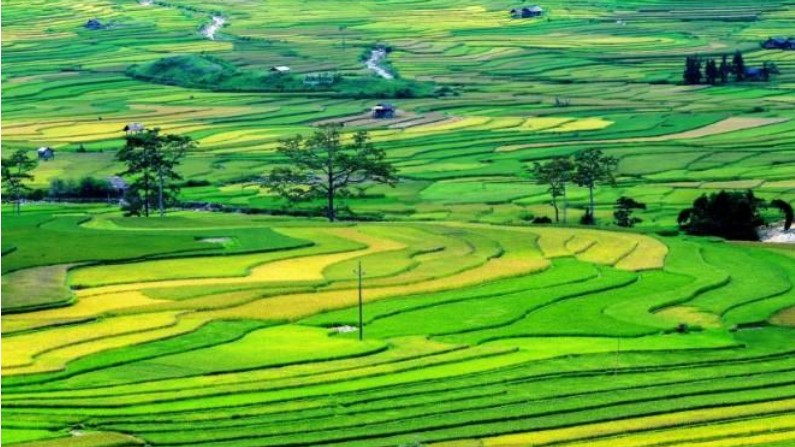 Thiết lập công cụ kiểm soát quyền lực, ngăn chặn tham nhũng, tiêu cực, lãng phí trong quản lý, sử dụng đất