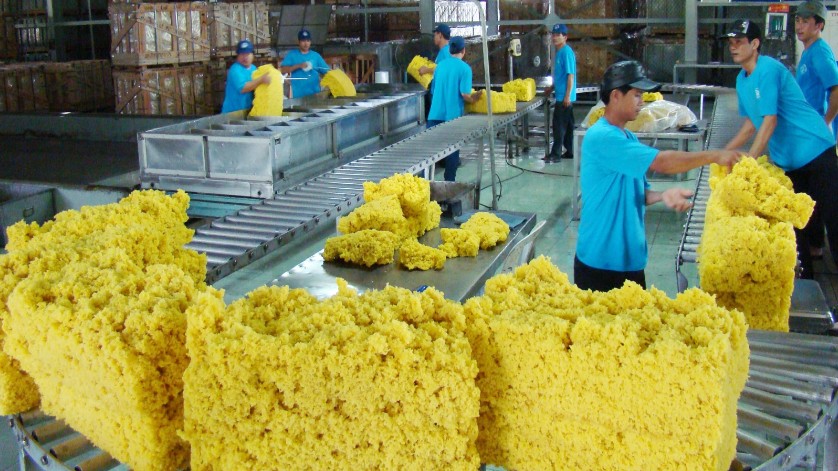 Xuất khẩu cao su tháng 8/2022 ước đạt 210 nghìn tấn