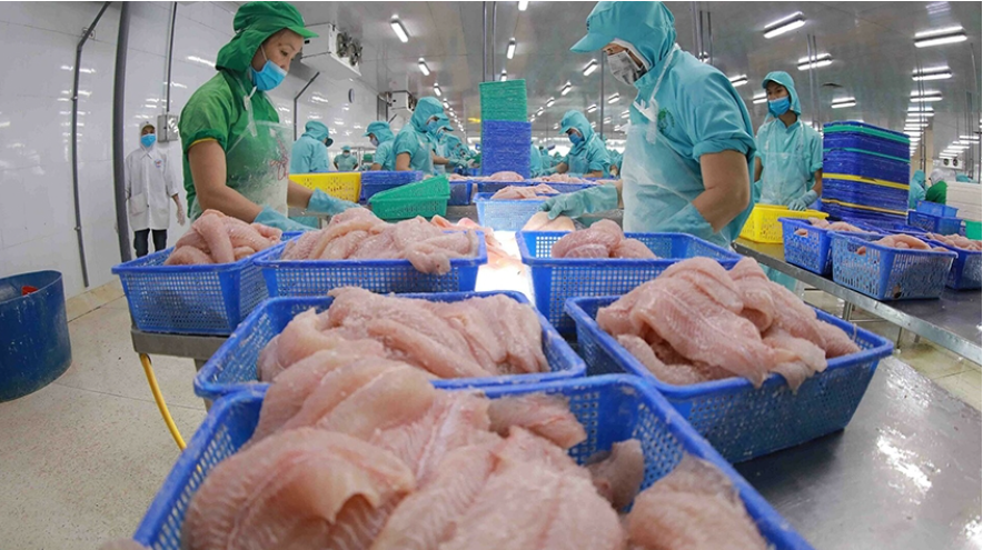 Thuỷ sản- mặt hàng xuất khẩu thế mạnh của Việt Nam sang thị trường UAE