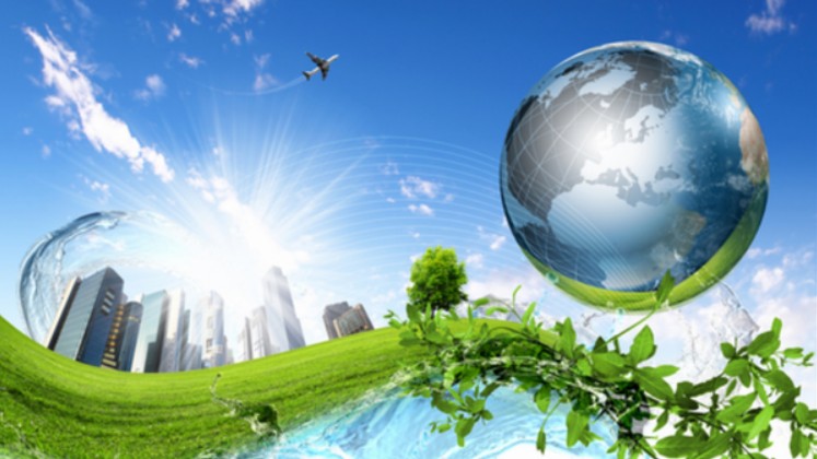 Quy chế hoạt động của Ban Chỉ đạo quốc gia về tăng trưởng xanh