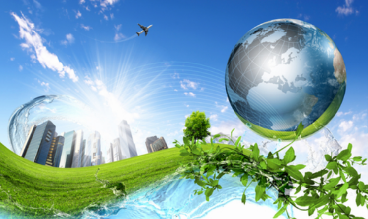 Ban Chỉ đạo quốc gia về tăng trưởng xanh làm việc theo nguyên tắc tập trung, dân chủ, thảo luận công khai.