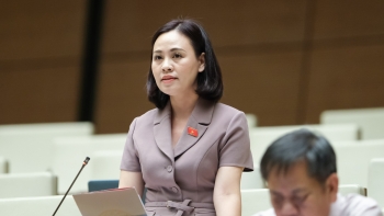 Không nên quy định các hành vi bạo lực với người đã ly hôn