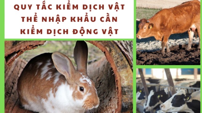 Đài Loan sửa đổi Quy tắc kiểm dịch vật thể nhập khẩu cần kiểm dịch động vật