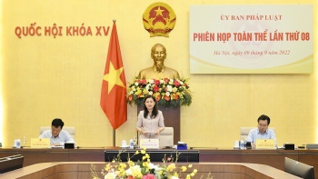 Cần thiết sửa đổi Nghị quyết về tiêu chuẩn của đơn vị hành chính và phân loại đơn vị hành chính