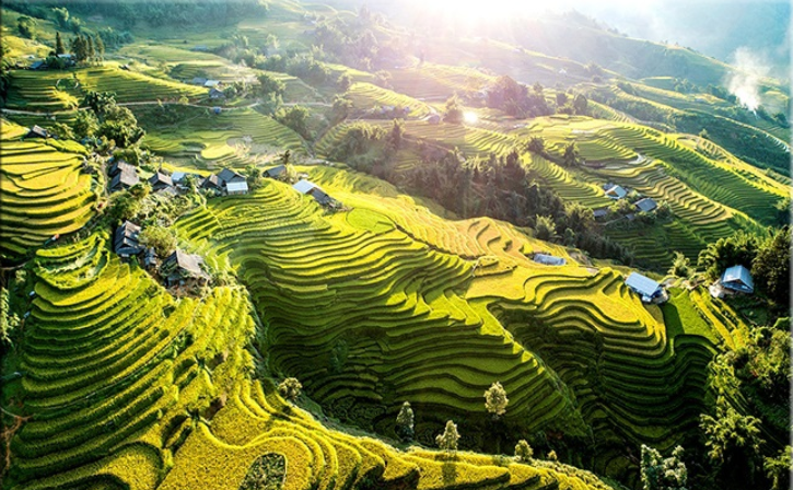 Quy chế hoạt động của Hội đồng điều phối vùng trung du và miền núi phía Bắc.