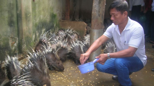 Đề xuất ban hành Danh mục động vật hoang dã được phép nuôi thương mại