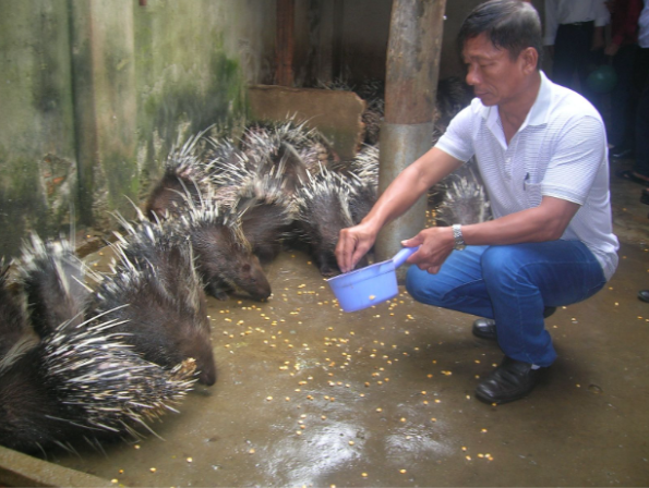 Đề xuất ban hành Danh mục động vật hoang dã được phép nuôi thương mại