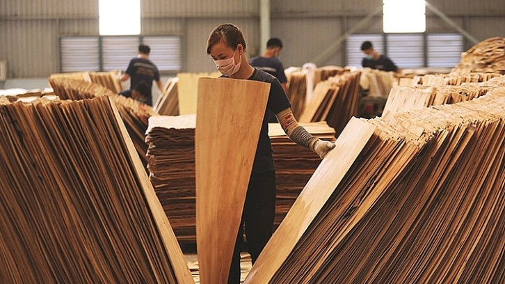 Hoa Kỳ gia hạn kết luận điều tra lẩn tránh thuế chống bán phá giá gỗ dán từ Việt Nam