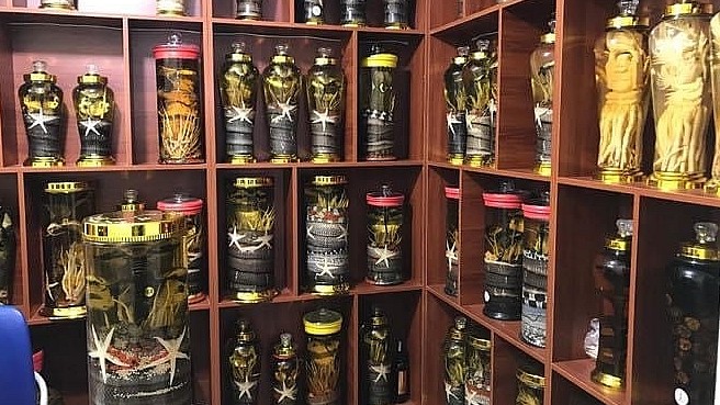 Hà Nội: Đột kích kho rượu “động vật” không rõ nguồn gốc