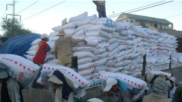 Nhập khẩu phân bón giảm về lượng, tăng kim ngạch