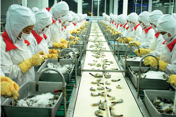 Xuất khẩu tôm chế biến sang Australia tăng 40%