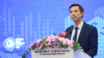 Việt Nam cần lấy kinh tế xanh, kinh tế số làm động lực tăng trưởng bền vững