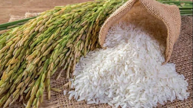 Giá lúa gạo hôm nay 19/9/2022:  Sôi động phiên đầu tuần