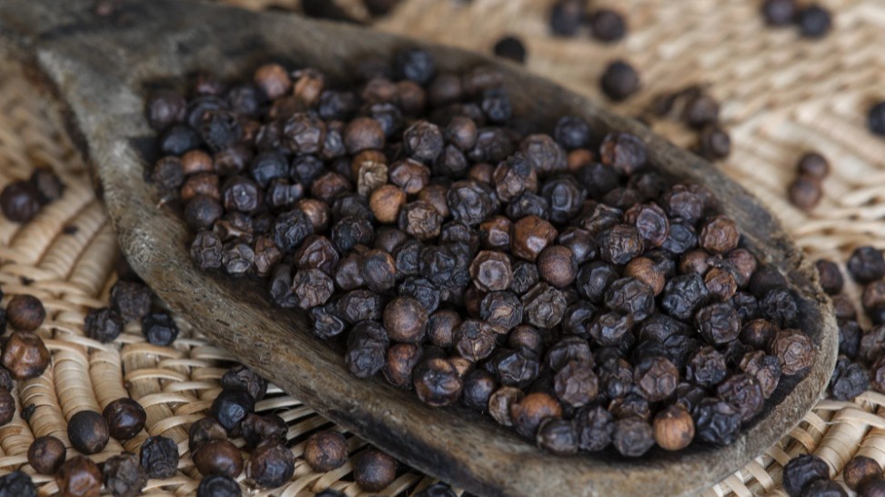 Giá cà phê hôm nay 20/9/2022: Không có thay đổi mới