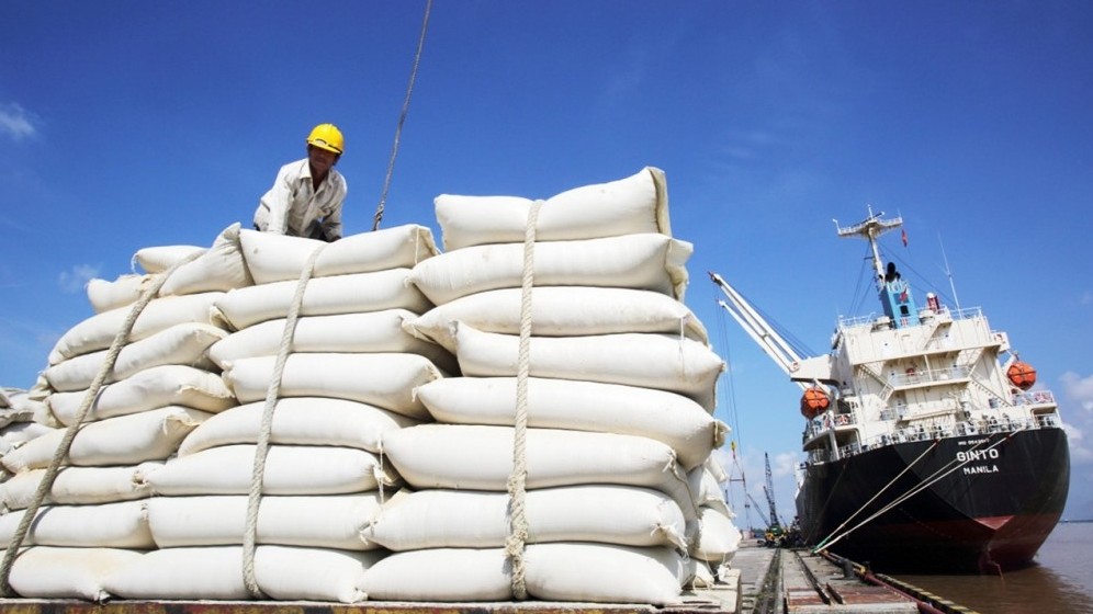 Giá lúa gạo hôm nay 21/9/2022: Xuất khẩu sôi động hơn