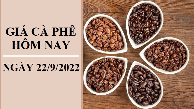 Giá cà phê hôm nay 22/9/2022: Không xuất hiện điều chỉnh mới
