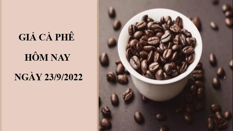 Giá cà phê hôm nay 23/9/2022: Đảo chiều tăng nhẹ