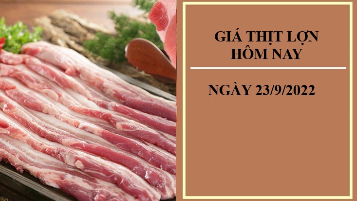 Giá thịt lợn hôm nay 23/9/2022: Điều chỉnh giảm tại Công ty Thực phẩm bán lẻ