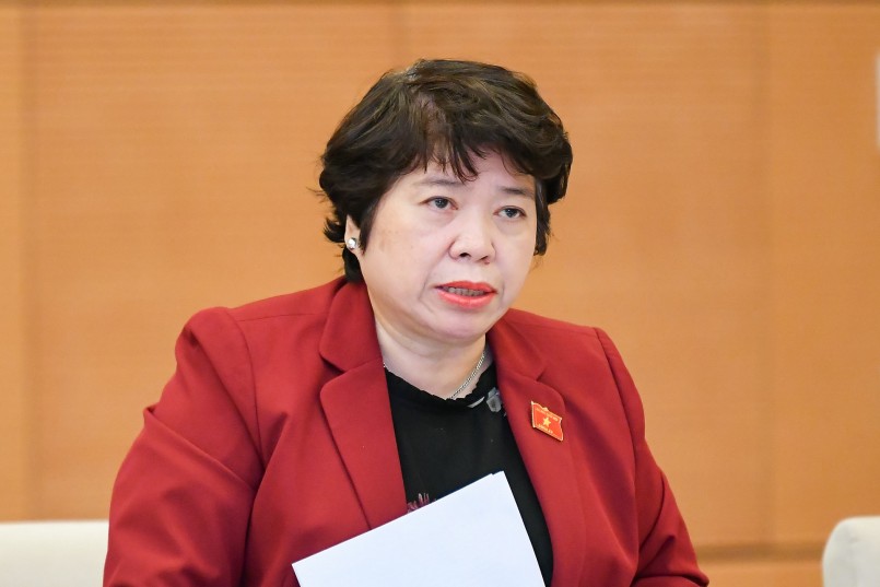 Chủ nhiệm Ủy ban Xã hội Nguyễn Thúy Anh cho rằng cần nghiên cứu thêm để đảm bảo sự hài hòa, tương thích giữa các luật khi áp dụng trong thực tiễn