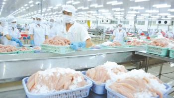 Xuất khẩu cá tra sang thị trường Mỹ chiếm 23%