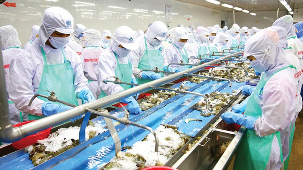 Xuất khẩu tôm đạt hơn 3 tỷ USD