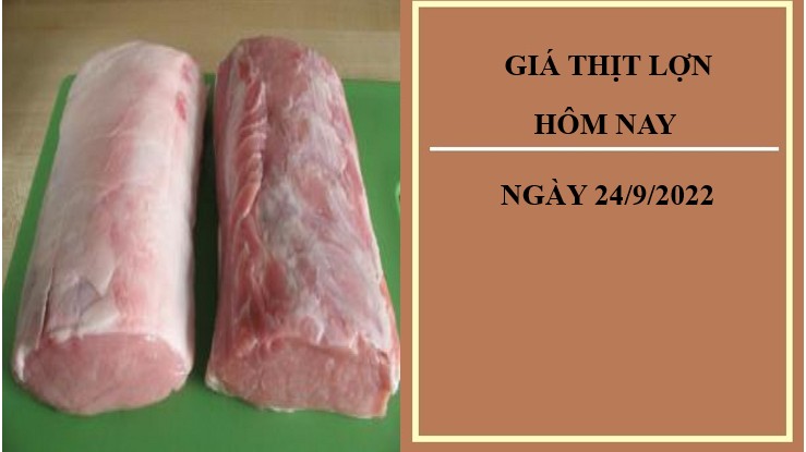Giá thịt lợn hôm nay 24/9/2022: Chững lại tại Công ty Thực phẩm bán lẻ
