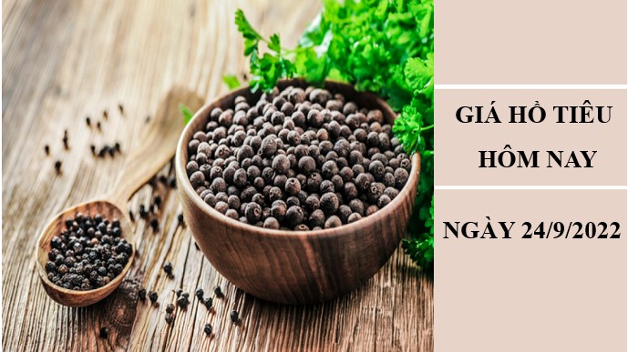 Giá hồ tiêu hôm nay 24/9/2022: Đứng yên tại nhiều địa phương