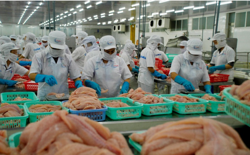 8 tháng năm 2022, xuất khẩu nhóm hàng thủy sản đạt trên 7,63 tỷ USD,