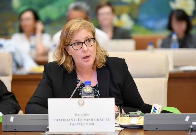 Trưởng Ban Hợp tác phát triển Kristina Buende - Phái đoàn EU