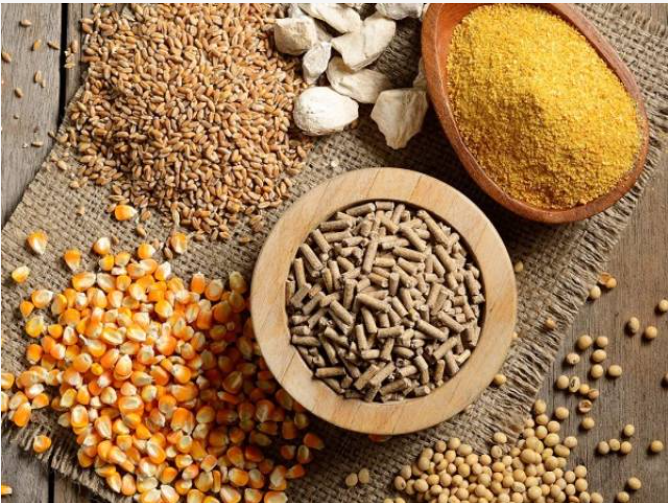 Việt Nam chi 3,65 tỷ USD nhập khẩu thức ăn gia súc