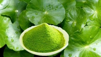 Công dụng ít ai biết từ cây rau má