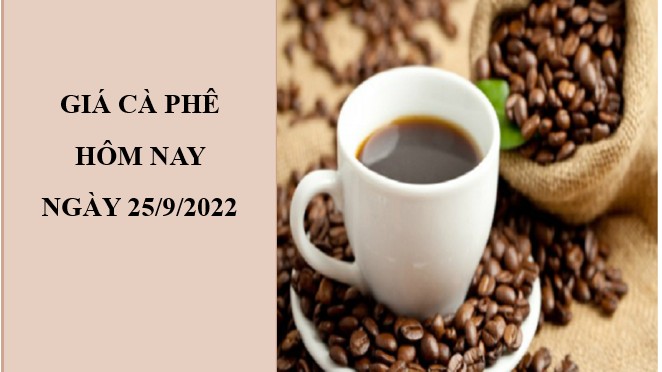 Giá cà phê hôm nay 25/9/2022: Không có thay đổi ngày cuối tuần
