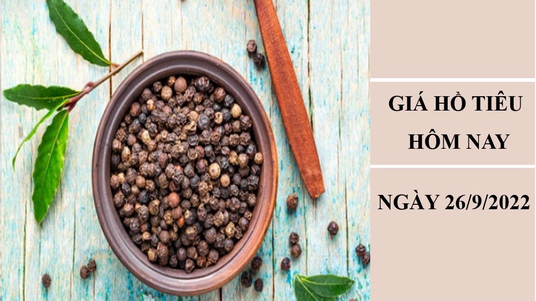 Giá hồ tiêu hôm nay 26/9/2022: Không có thay đổi vào đầu tuần