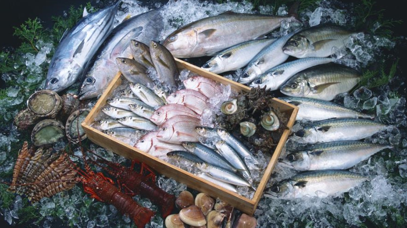 Việt Nam chi 1,84 tỷ USD nhập khẩu thủy sản trong 8 tháng