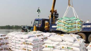 Xuất khẩu phân bón tăng 167,9% kim ngạch
