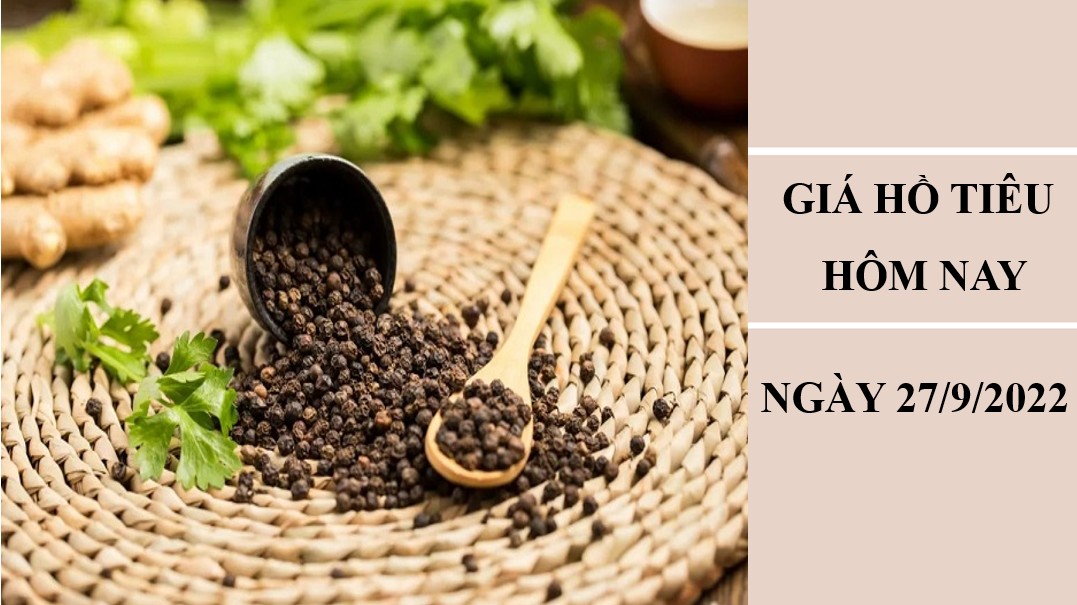 Giá hồ tiêu hôm nay 27/9/2022: Đồng loạt điều chỉnh giảm