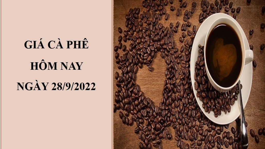 Giá cà phê hôm nay 28/9/2022: Đồng loạt giảm nhẹ tại ba miền