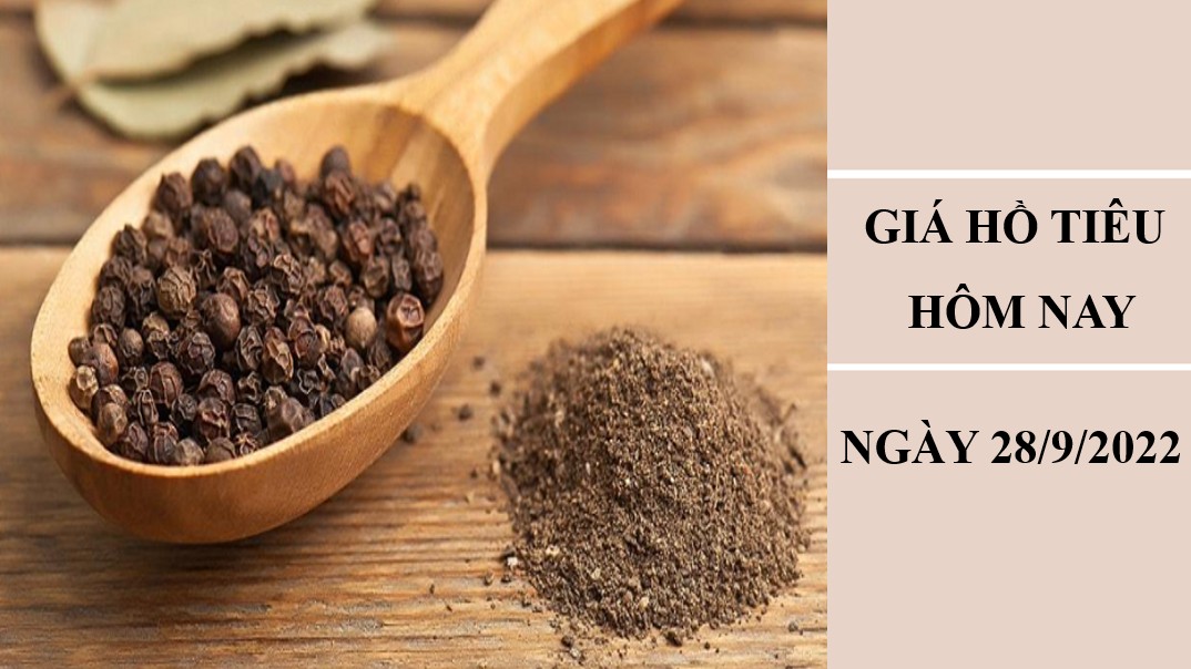 Giá hồ tiêu hôm nay 28/9/2022: Không có thay đổi mới