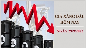 Giá xăng dầu hôm nay 29/9/2022: Dầu thô lại quay đầu giảm