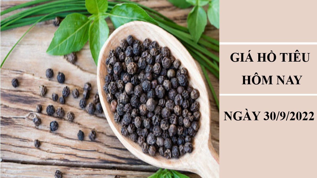 Giá hồ tiêu hôm nay 30/9/2022: Thị trường chững lại