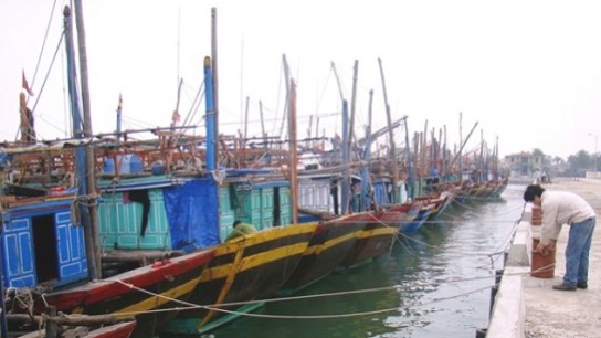 Thành lập Hội đồng thẩm định Quy hoạch cảng cá, khu neo đậu tránh trú bão cho tàu cá