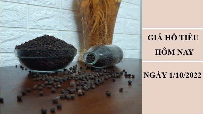 Giá hồ tiêu hôm nay 2/10/2022: Giảm 500 đồng/kg tại Bình Phước