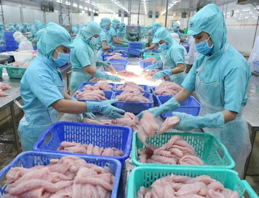 Xuất khẩu thuỷ sản chạm mốc 8,5 tỷ USD