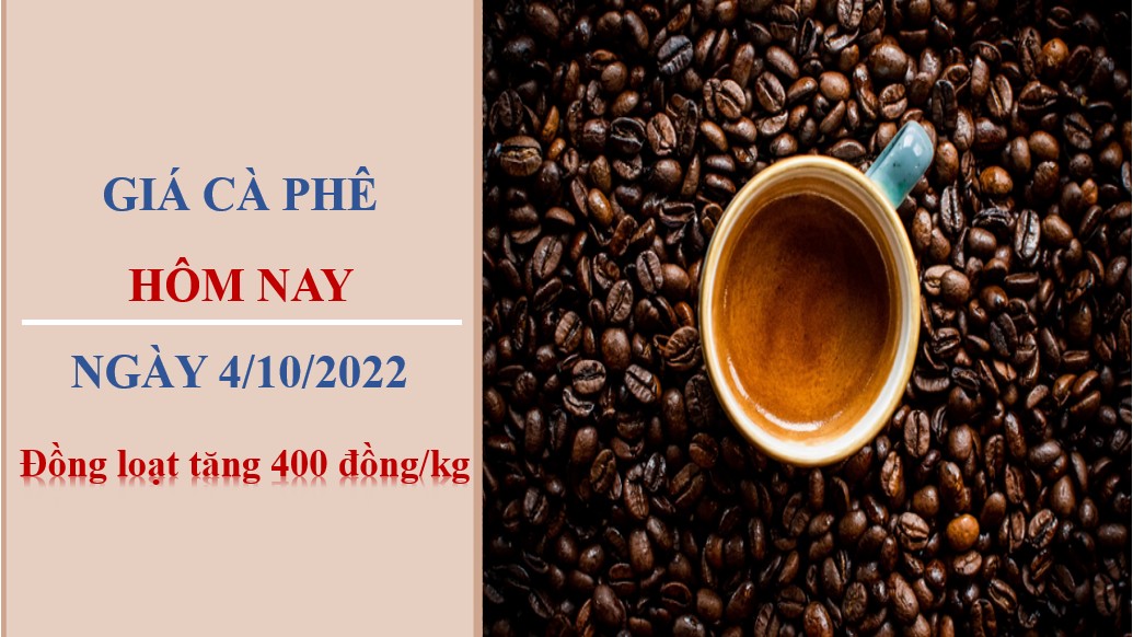Giá cà phê hôm nay 4/10/2022: Đồng loạt tăng 400 đồng/kg