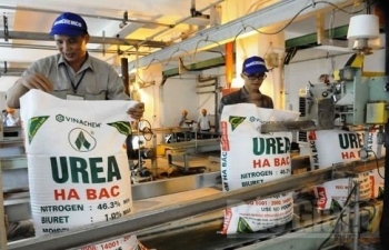 Giá phân bón sẽ tăng mạnh vào cuối năm