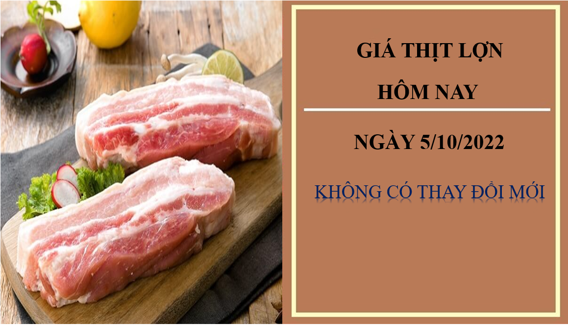 Giá thịt lợn hôm nay 5/10/2022: Không điều chỉnh mới Giá thịt lợn hôm nay 5/10/2022: Không điều chỉnh mới