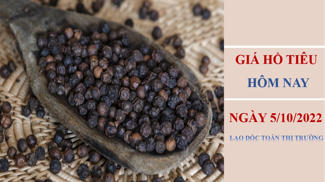 Giá hồ tiêu hôm nay 5/10/2022: Lao dốc toàn thị trường