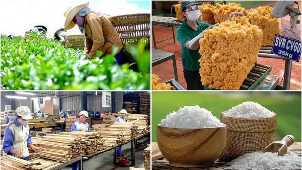 Xuất siêu nông, lâm, thủy sản đạt khoảng 6,9 tỷ USD